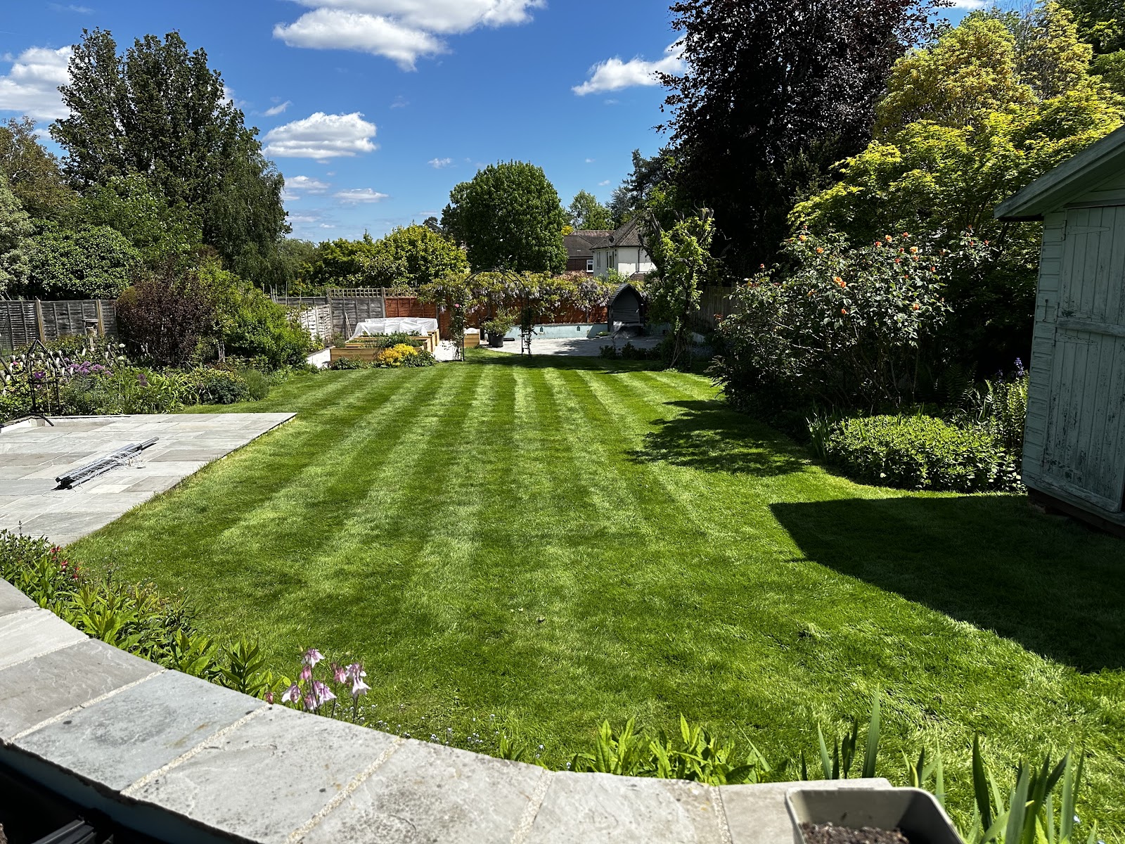 A restored, striped Surrey lawn treated by Mr Lawn